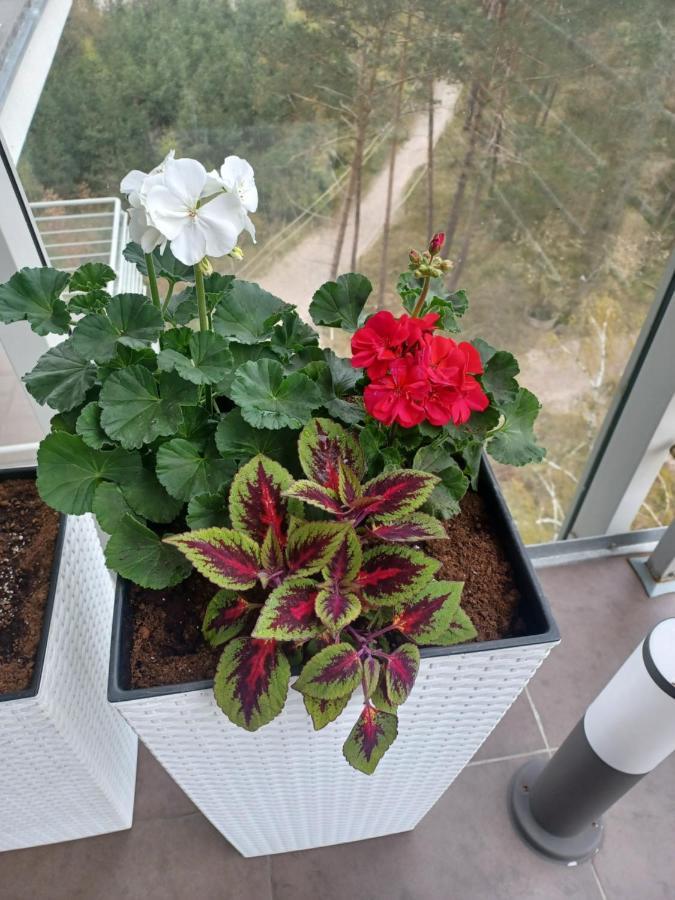 Apartament Z Widokiem Na Morze Dziwnówek Esterno foto